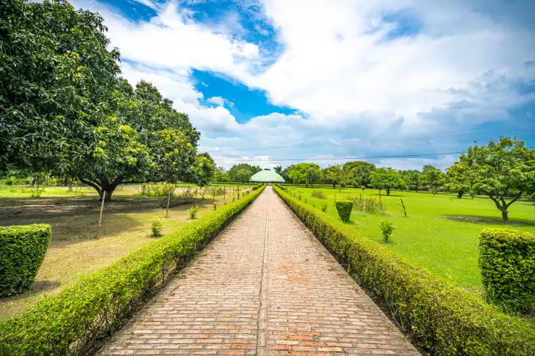 Buddha Relic Stupa - Heritage of Spiritual Significance