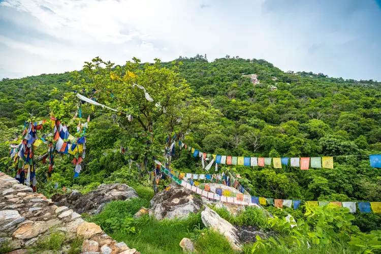 Scenic Beauty of Gridhakut Hill at Nalanda