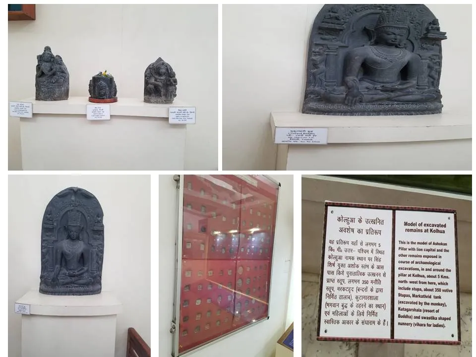 Vaishali's Art Collection - Insights into the Past