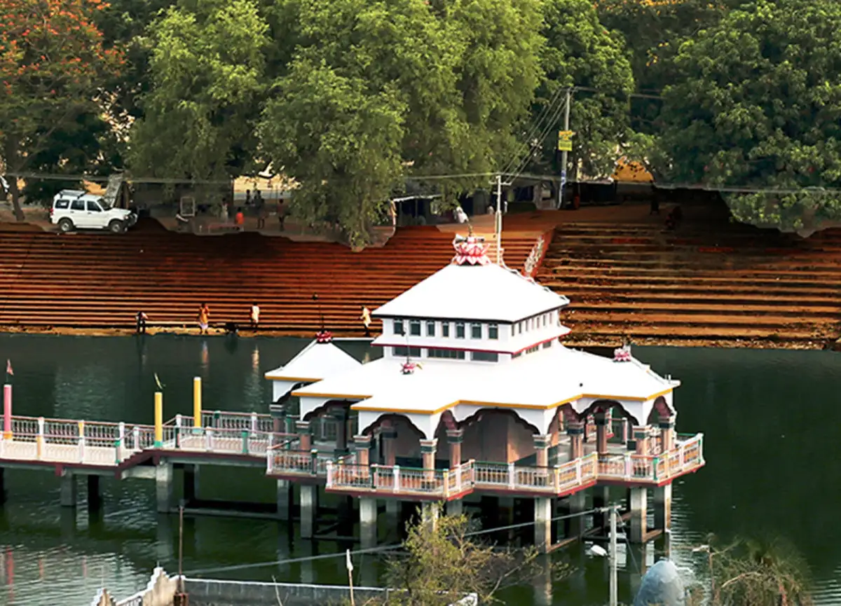 Environmental Conservation Efforts